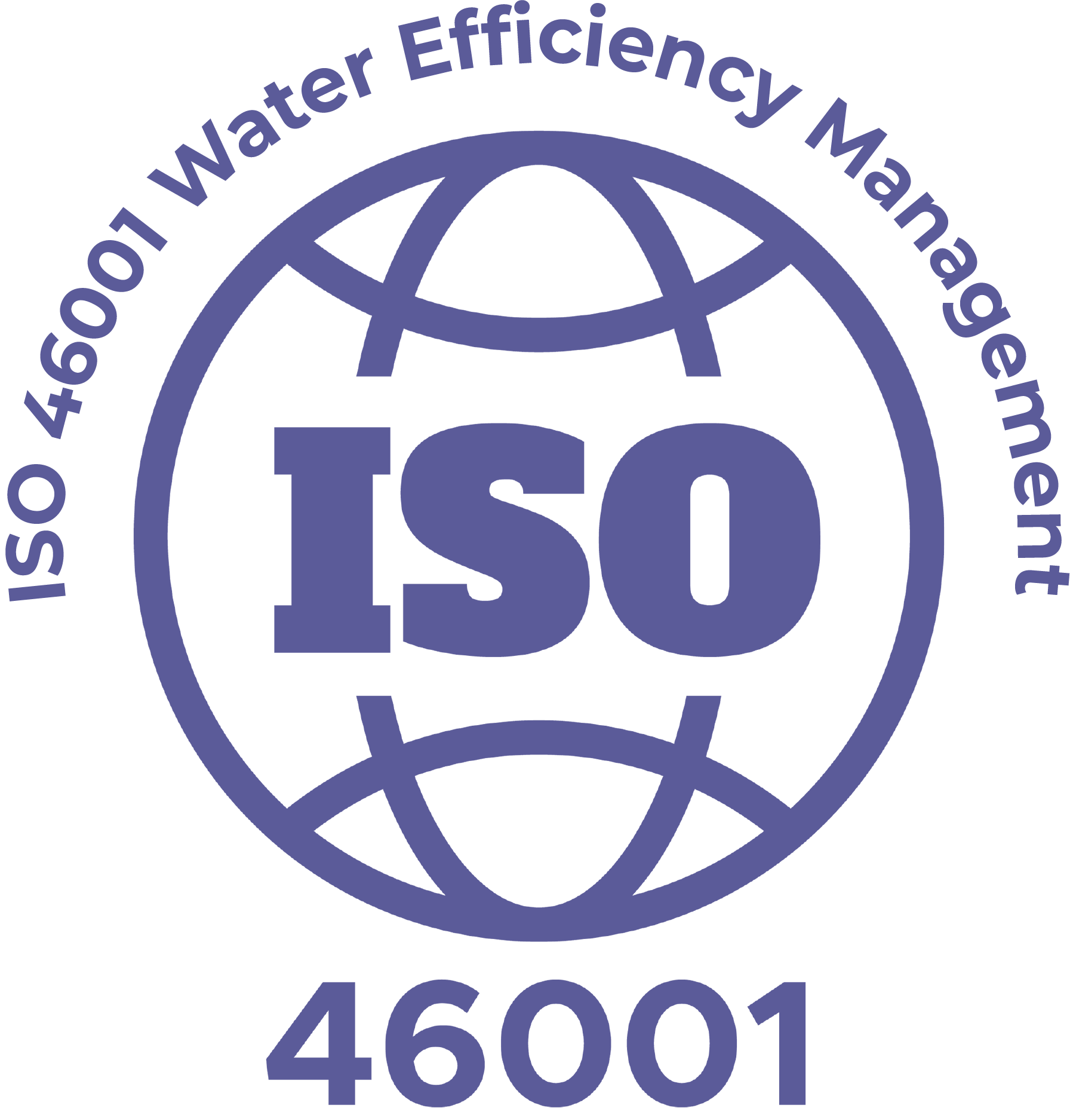 ISO 46001 SVYS